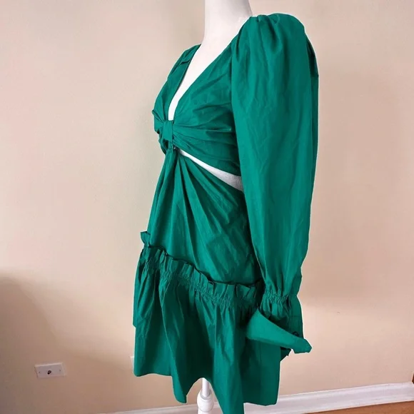 A.L.C. Alexa cutout ruffled tiered pleated cotton-poplin mini dress - Picture 5 of 13